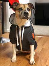 Load image into Gallery viewer, Dog hoodie
